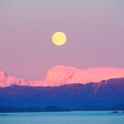 NG28下载地址官网