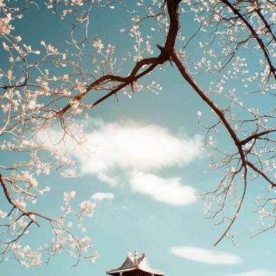 半岛bob综合登入app下载截图