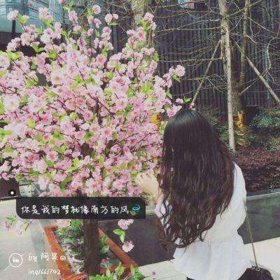 BOB体育综合官方平台APP截图